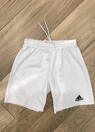 Шорти adidas climalite
