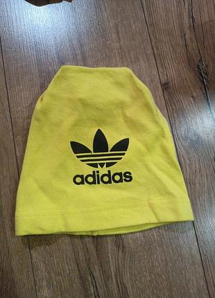 Шапка adidas желтого цвета