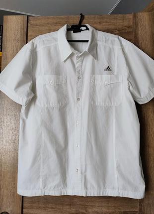 Брендовая рубашка-шведка adidas