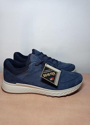 Ecco exostride gtx w