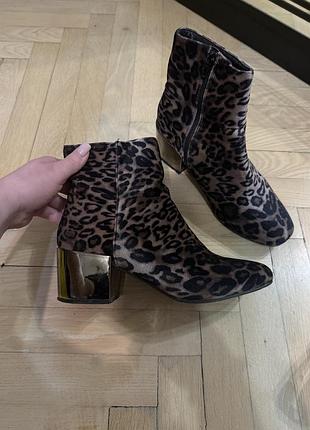 Чобітки reserved