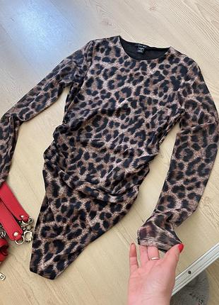 Боді леопард кофта