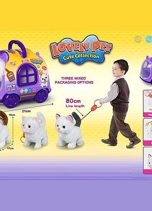 Котик переноска, ходить, на повідці, у боксі