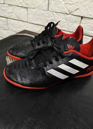 Кросівки футзалки adidas