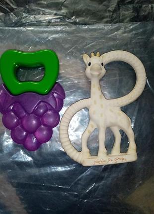 Прорезыватель для зубов