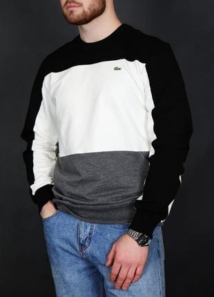 Світшот кофта lacoste