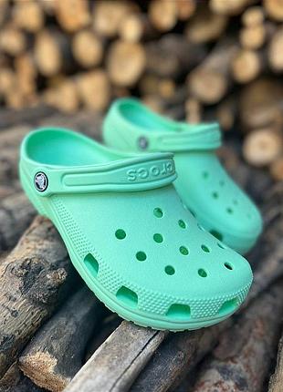 Крокси сабо унісекс crocs classic mint crocs classic clog crocs
