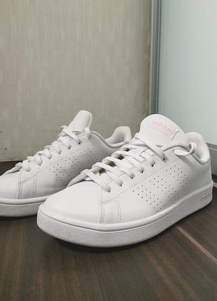 Кеди adidas