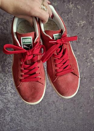 Кросівки puma