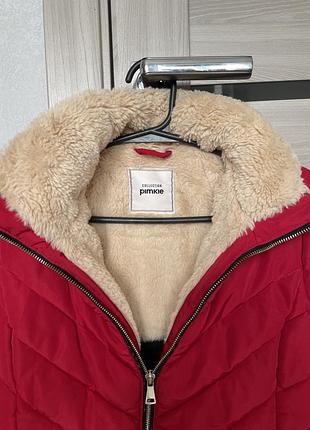 Карточка демисезона