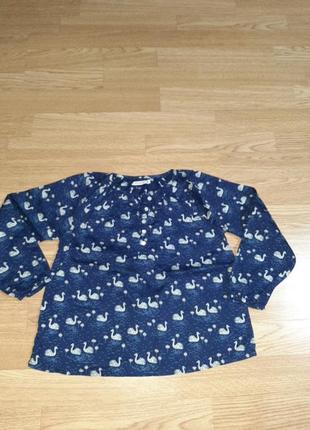 Класна бавовняна блуза з лебедями