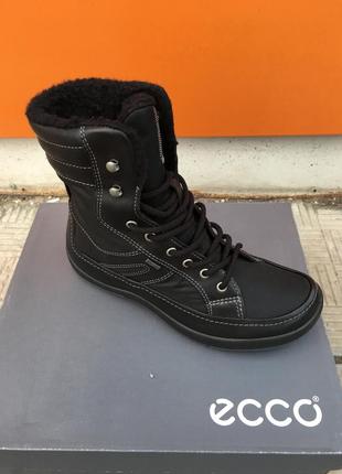 Зимние ботинки женские  ecco winter zone gore-tex  204783 53960