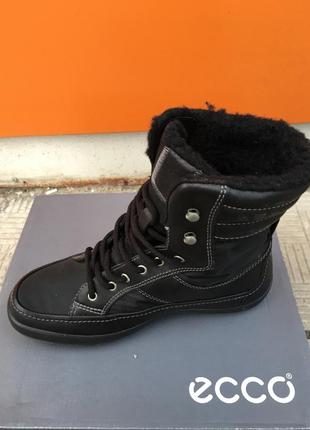 Зимние ботинки женские  ecco winter zone gore-tex  204783 539602 фото