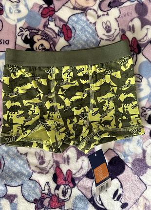 Набор трусиков для мальчика lupilu