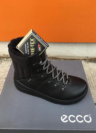 Женские зимние ботинки  ecco noyce  gore-tex 834623 51052