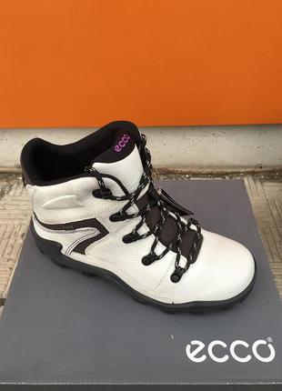 Подростковые зимние  ботинки ecco terra  vg gore-tex  701003 01007