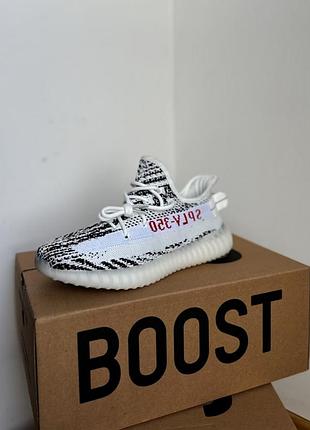Кроссовки showroom adidas crate and furniture sets clearance store