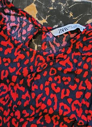 Платье платье zara3 фото