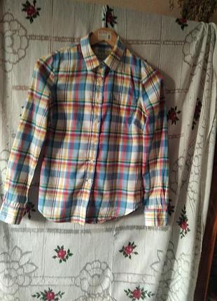 Супер сорочка яскрава р.8"jack wills",100%котон.