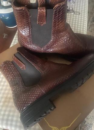 Демісезонні черевики