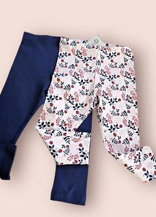 Комплект лосін lupilu