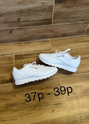 Кросівки reebok classic
