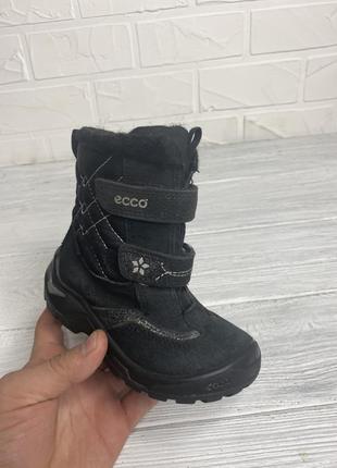 Детские ботинки ecco gore tex 25 р