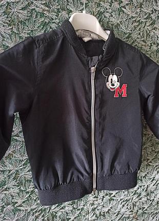 Курточка легка