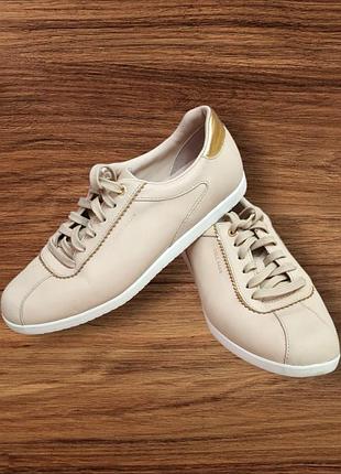 Туфлі кросівки cole haan