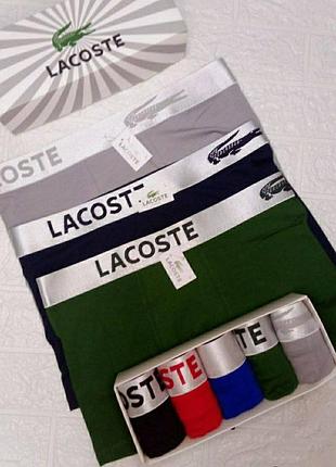 Чоловічі боксери graphic lacoste