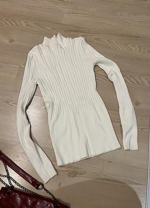 Гольф водолазка