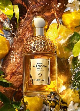 Guerlain aqua allegoria forte oud yuzu парфумована вода