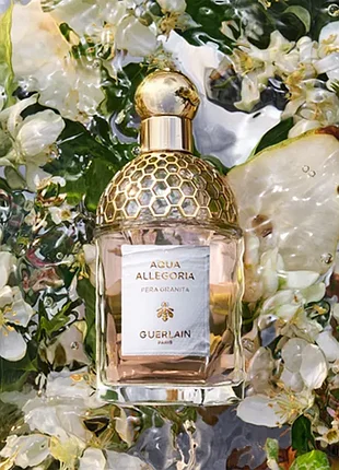 Guerlain aqua allegoria pera granita туалетная вода