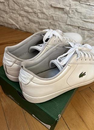 Кеди lacoste оригінал