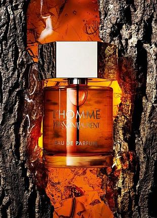 Пробник lhomme eau de parfum 
l'homme eau de parfum