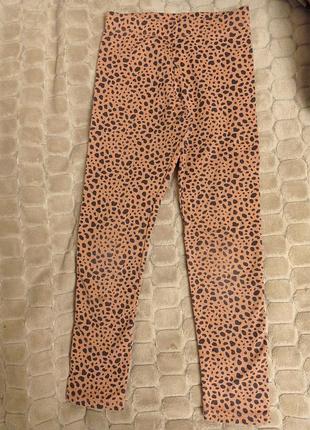 Лосины, 8-9 лет, 134 см