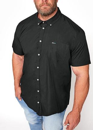 Якісна базова сорочка badrhino р.3xl