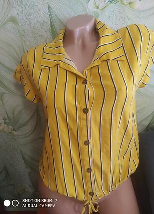 Блуза- рубашка.