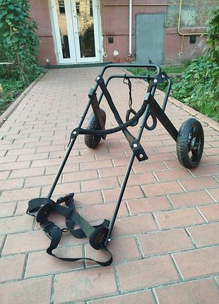 Инвалидная коляска для собак. 5