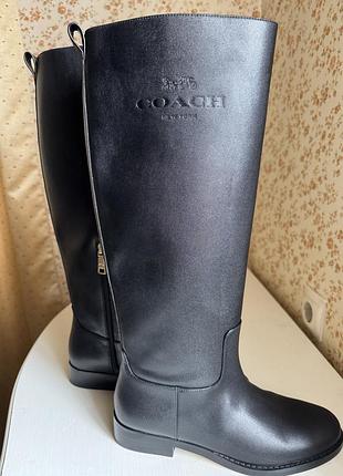Чоботи coach