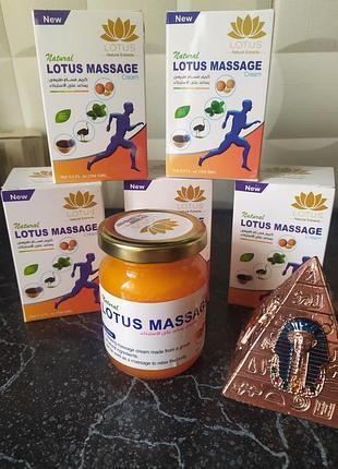 Мазь для суставов от мышечной боли колоквинт убийца боли 159 г цегипет