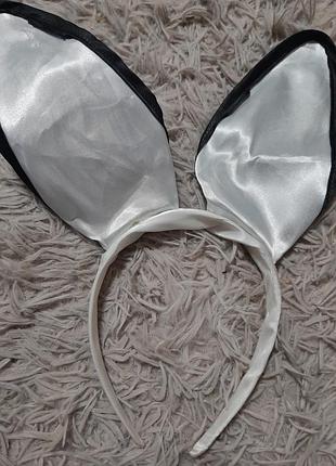 Обруч, вушка 2