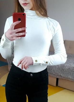 Боди