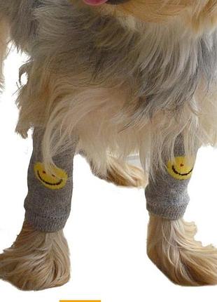 Грелки для собак doggy dolly wm001 серые