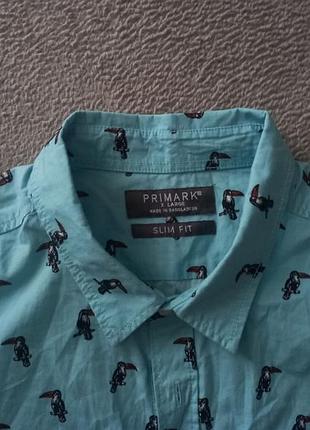 Брендовая рубашка тенниска primark. 6