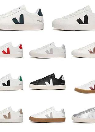 Кеди veja