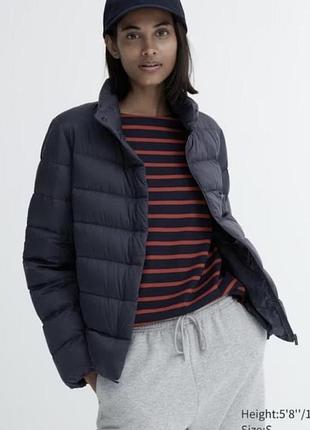 Микропуховик uniqlo 🖤