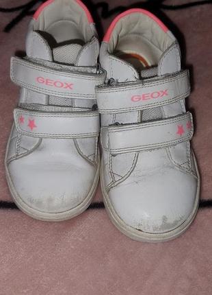 Кроссовки из натуральной кожи geox для девочки р.24(15.5см)