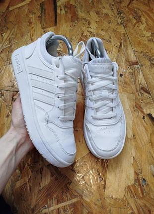 Демисезоны кожаные кроссовки кеды adidas hoops 3.0 k gw0433