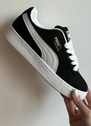 Кроссовки кеды в стиле бренда